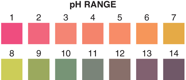 Ph Strip Color Chart