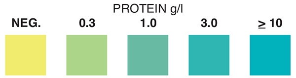 protein test strip, protein, protein test strips